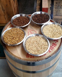 Malted-barley-at-Westland-Distillery